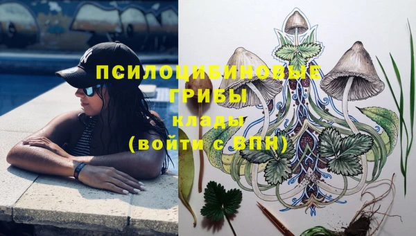 амф Алексин