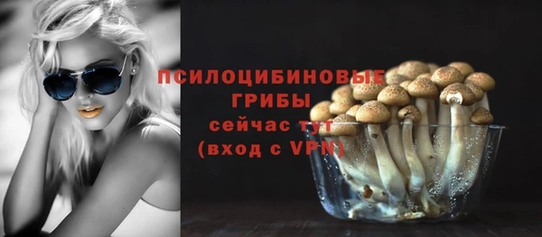 дживик Семилуки