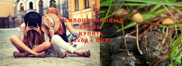 сатива Семикаракорск