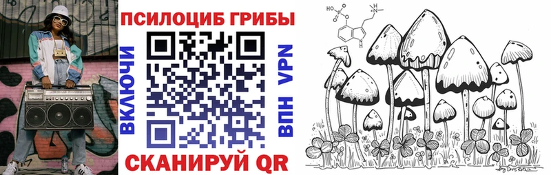 Псилоцибиновые грибы прущие грибы  Талица 
